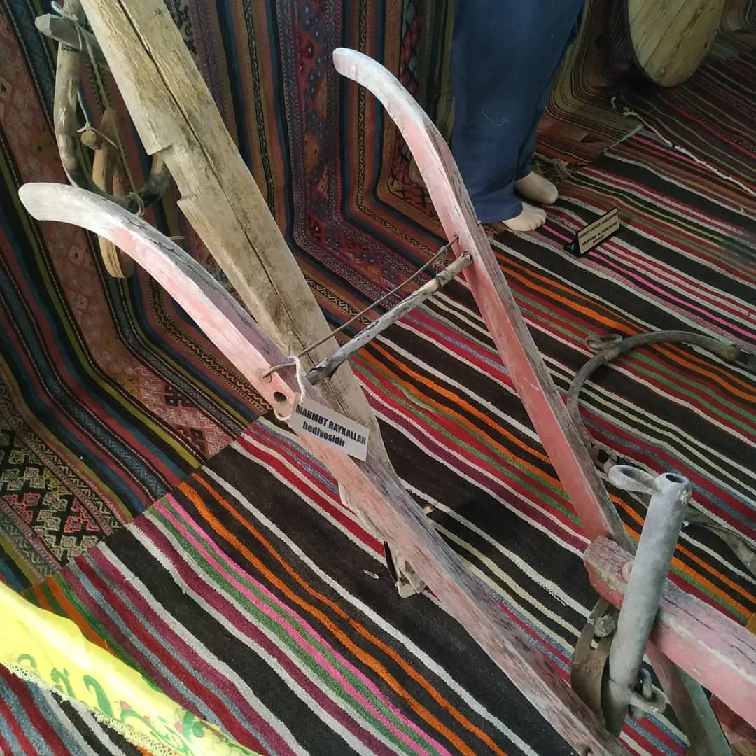 Akgedik ten